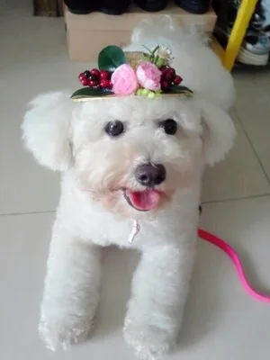 Шапка для собак кружева Роза Регулируемый pet strawhat летний кот тропический шлем от солнца аксессуары gorras para perros mascotas