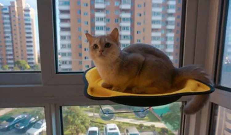 8578039965_1835768228