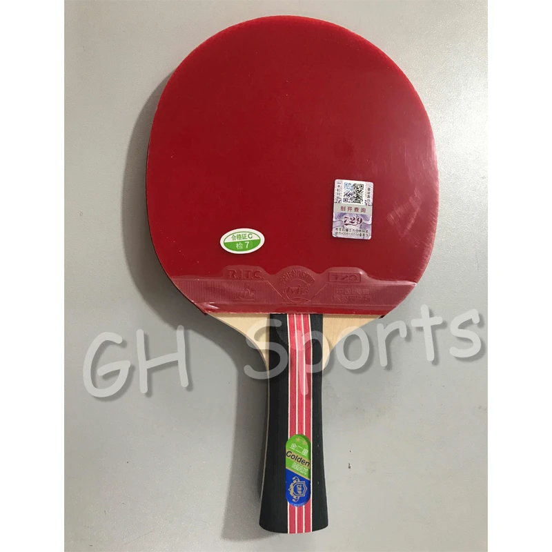 Table Tennis Friendship 729 5 Ping Pong Ritc 729 Friendship