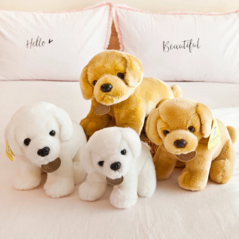 O1CN01eEFmKP1MXqqMjiOuM_!!706091445