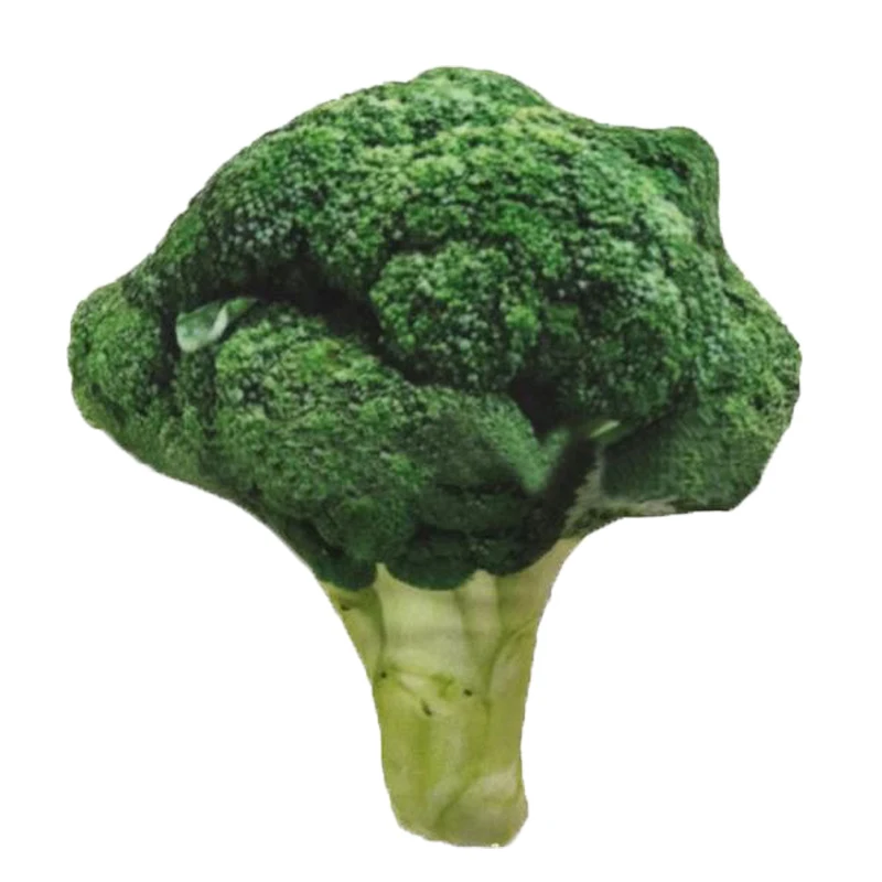 Broccoli Игрушки для собак устойчивые к укусам хлопковые жевательные игрушки интерактивный для щенков крошечные игрушки растительная голень для собаки кошки домашние животные товары - Цвет: Broccoli