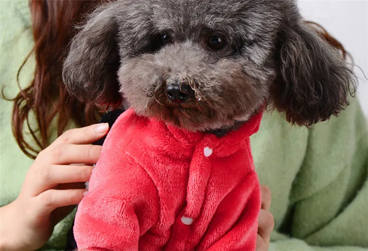 12690590483_1548100520