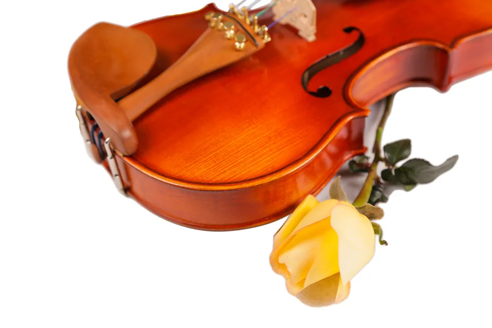 High-Quality Beginner Violin with Case