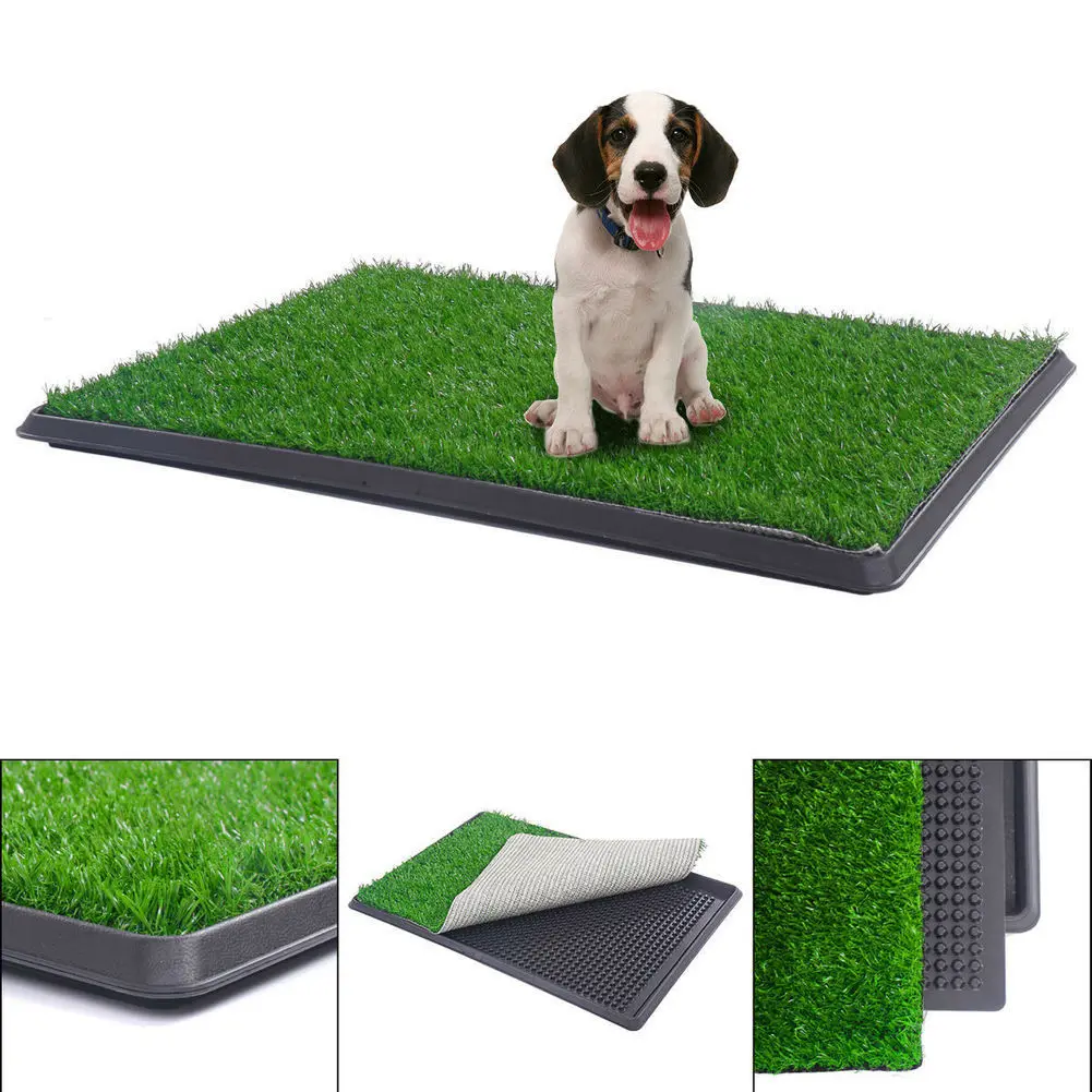 puppy potty grass mat