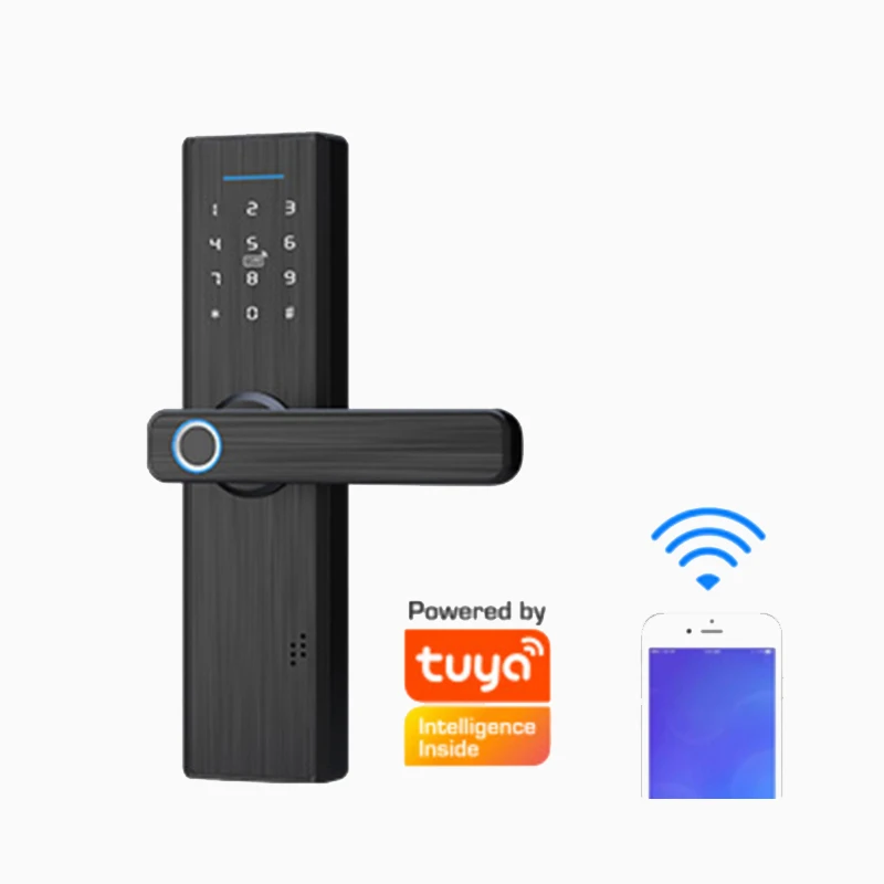 Конкурентная цена TTlock S804 биометрический отпечаток пальца карта пароль умный