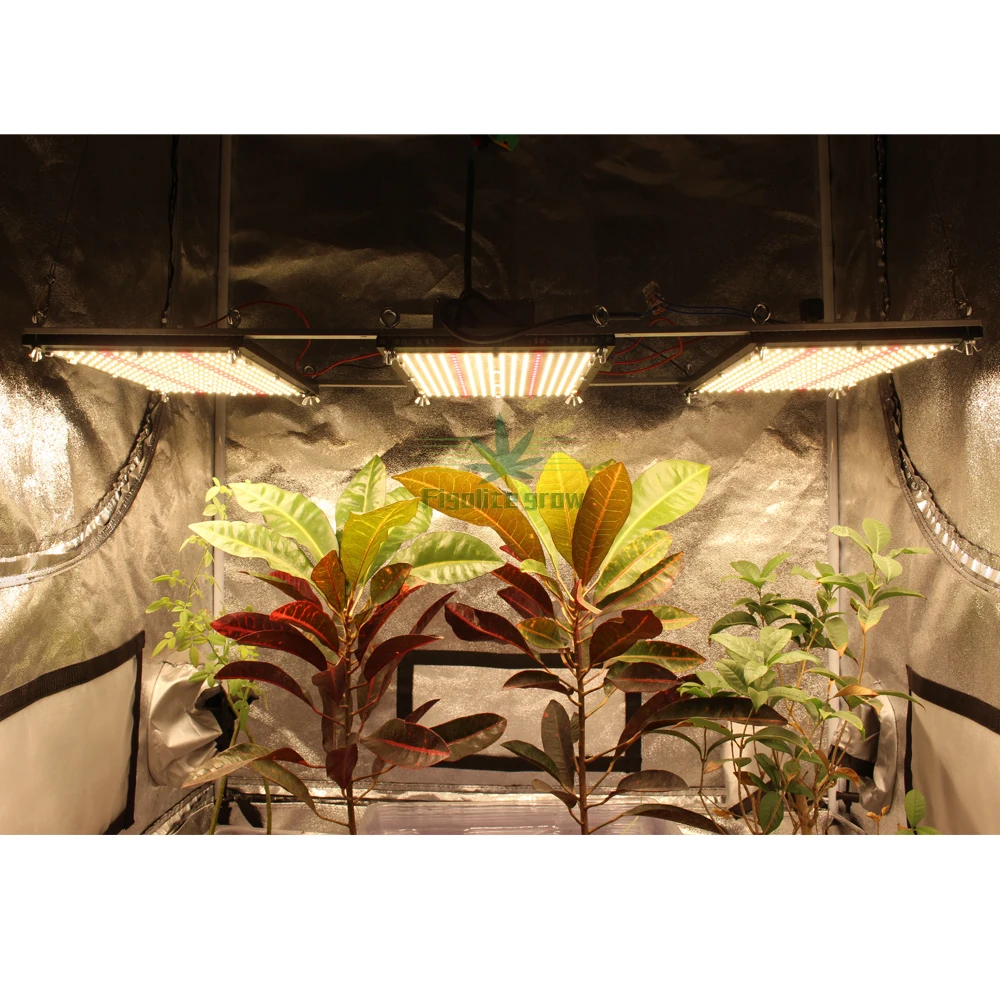 Figolite Grow 320W Dimmable Quantum Samsung Led Board V2 Led Grow Light With Lm301b Chips For Indoor Medicine Plant Grow