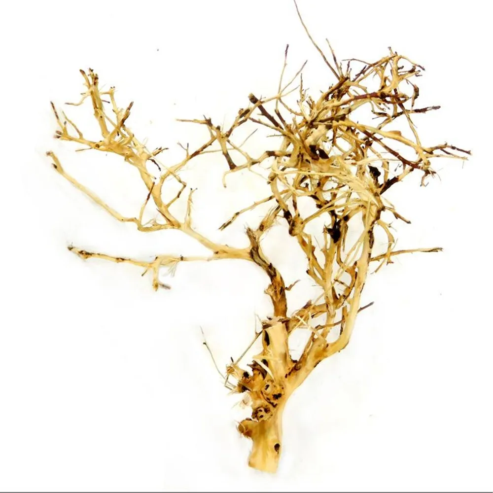 QQ截图20190823094348