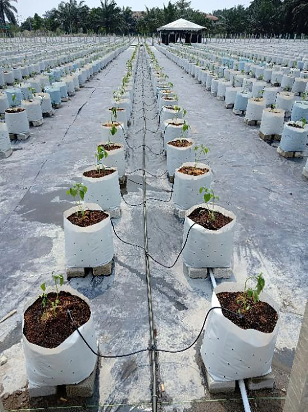 a2744ccbc5cf0abf948b28d931f758ad