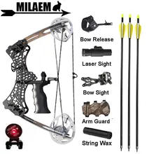 

Archery Mini Compound Bow Arrows Set 35lbs Bowfishing 23inch Aluminum Arrow Right Left Hand Hunting fishing Shooting Accessories