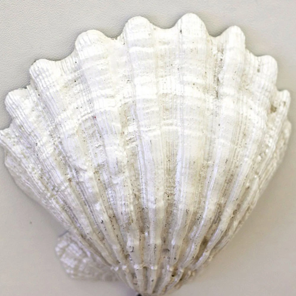 3 шт. 3D Star Shell Conth подвесной крючок настенная вешалка Декоративная вешалка для пальто
