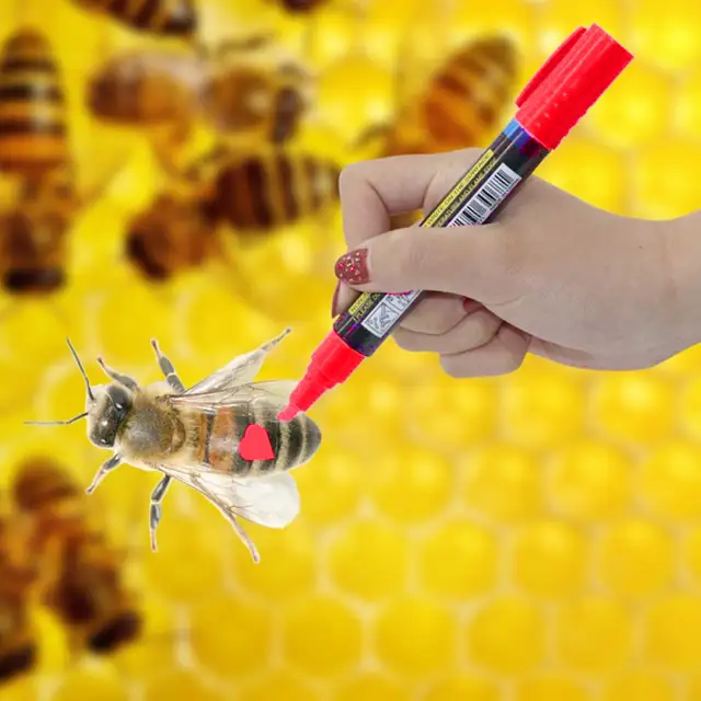 Új Forró Queen Méhek Jelölése Méhész Jelölő Toll Méhészet Műanyag Jelek 5 Színek Fehér Sárga Piros Zöld Kék Méheszeresítők