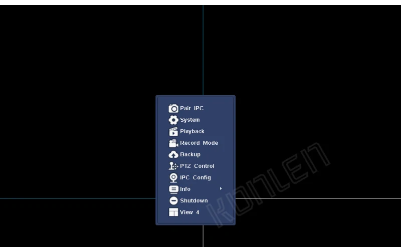12 NVR display menu