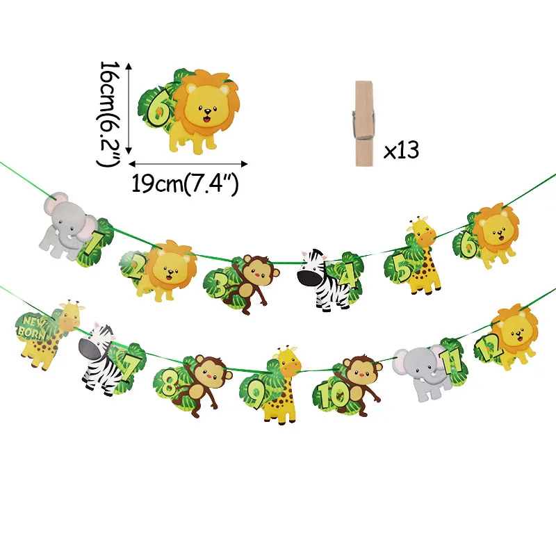 Вечерние бумажные гирлянды в стиле джунглей на 1-12 месяцев, Детские зажимы для фотографий, украшения для вечеринки в честь первого дня рождения, сафари, зоопарк, гирлянда с животными, подвесные фото - Цвет: 1set