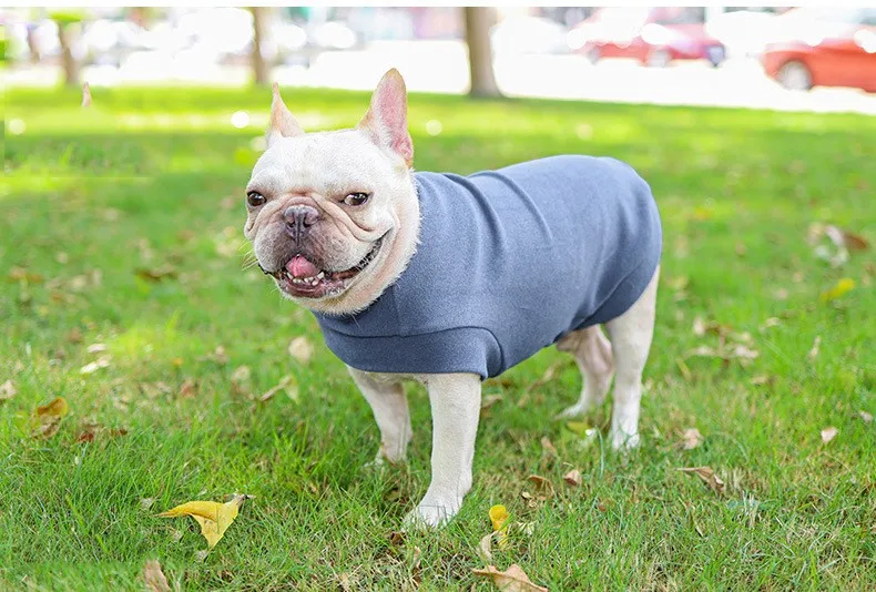 Dog Cat Clothes Leisure Dogs Hoodies French Bulldog Sphinx Autumn and Winter Warm Clothes Puppy Cat Shirts For Dog ropade perro