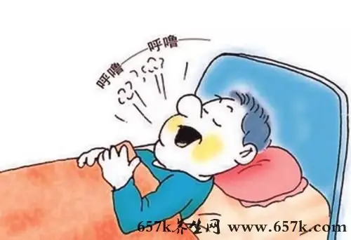 打呼噜的原因 肥胖鼻炎都易引发打呼噜现象