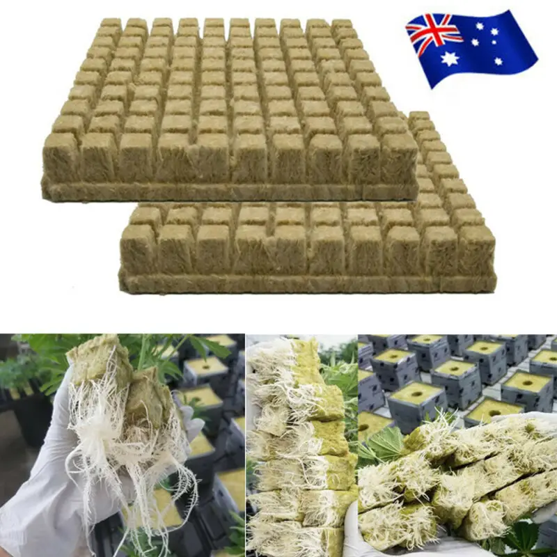 

100Cubes Grodan Rockwool Sheet Block Propagation Cloning Seed Raising Hydroponic