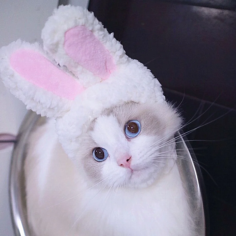 

Cat Hood Cute Rabbit Dress Cap Cat Tiara Show Props Funny Pet Hat Rabbit Ears Cat Accessories Pet Supplies Cat