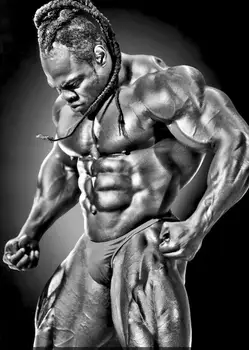 

Kai Greene BodyBuilding Muscle Man Art print Silk poster Home Wall Decor