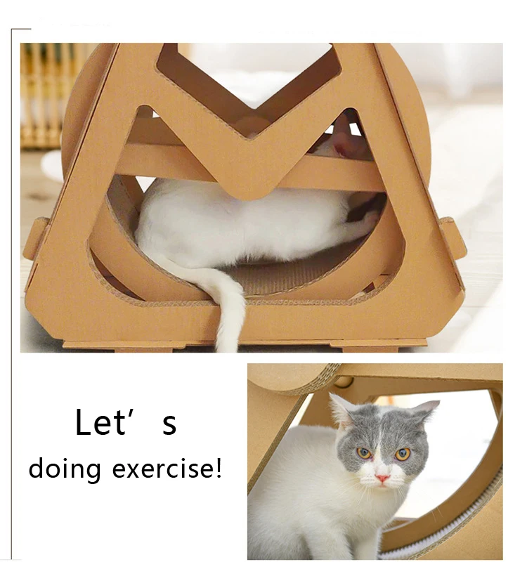 HTB1ruk6bifrK1RjSspbq6A4pFXav