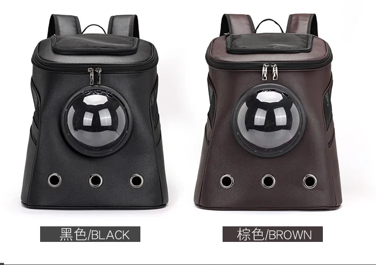 10718027789_345777210