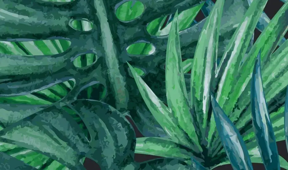 QQ截图20190818143929