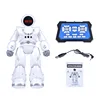 LISM RC Robot Toy Gesture Induction Intelligent Vector Robot Robots Dancing Programmable English Version Toys For Children Gift 4