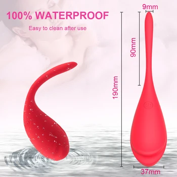 Sex Toys APP Control Vibrator for Women Bluetooth Vibrating Egg 9 Frequency Female Masturbator Wearable Dildo Goods for Adults 4