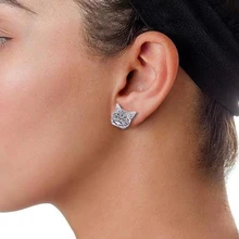 Персонализировать для кота собаки домашнего животного Фото Серьги гвоздики животное 925 серебро выгравированное имя серебрянный кулон-медальон Серьги Женщины Мужчины мемориал