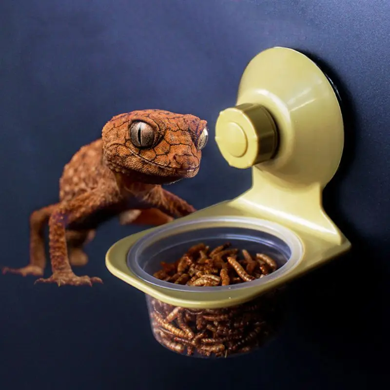 Suction Cup Reptile Water Food Feeder Wall Hanging Feeding Dish Bowl Spider Breeding Box Supplies 40JA