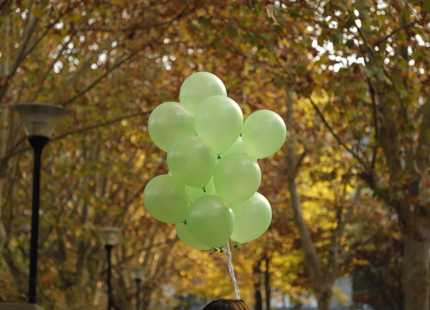 30 шт счастливый год Palloncino Verde Perlescente Пикник Neve Bambini Gioca Palloncini Per La Decorazione Domestica