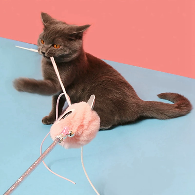 Funny Pet Tassel Teaser Colorful Cat Toys Wand Toys For Cats