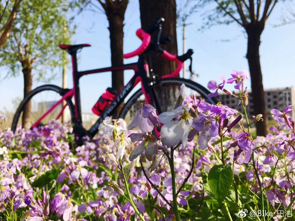 IMG_2183(20180822-095425)