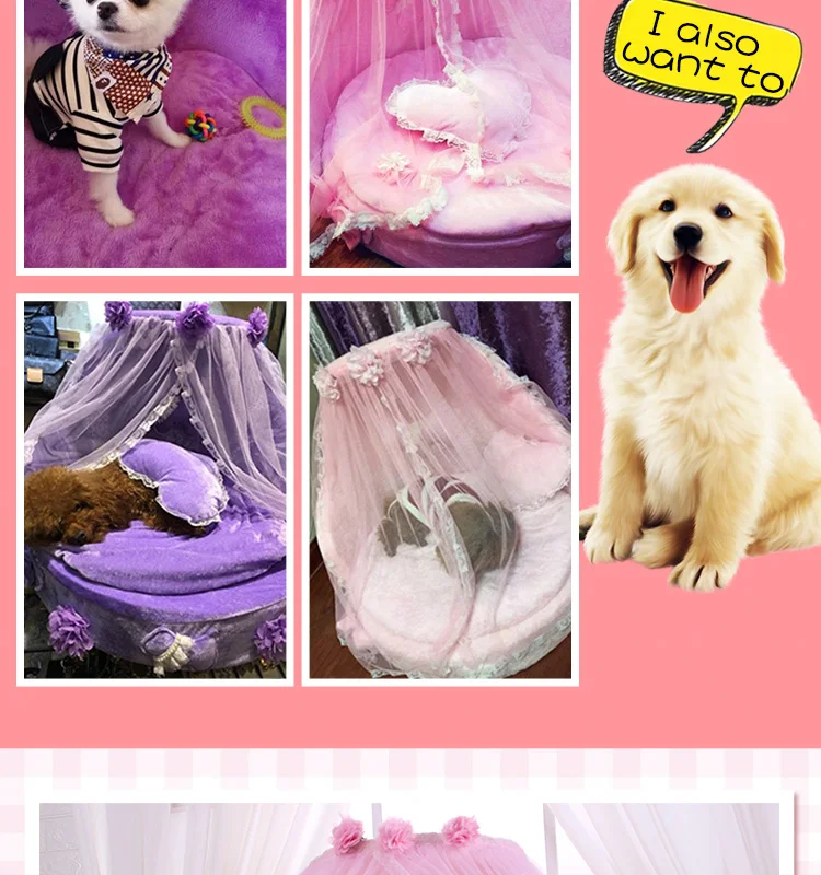 宝丽珍新详情英文2_11