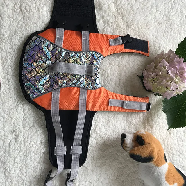 강아지의 수중 안전을 위한 필수품