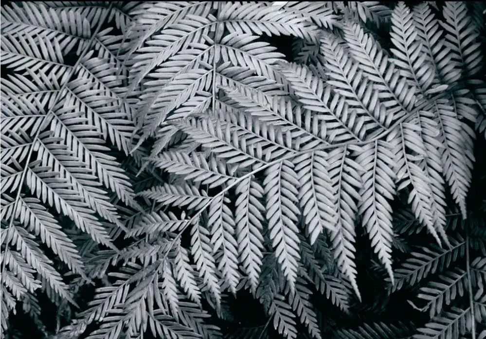 QQ截图20191119151414