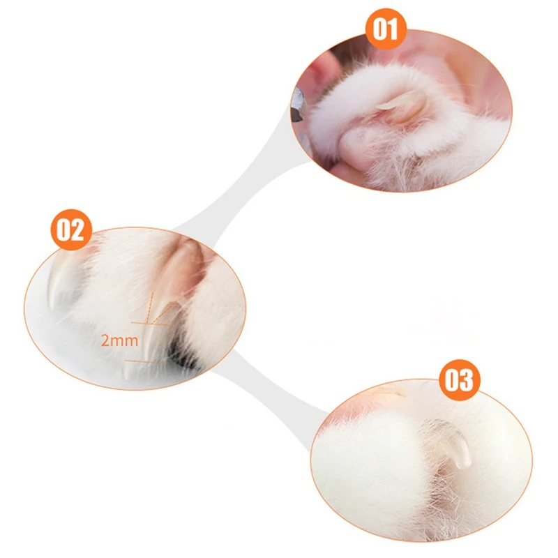 Pet Stainless Steel Nail Clipper Dogs Cats Claw Cutting Grooming Scissor With Plastic Handle For Nail Manicure