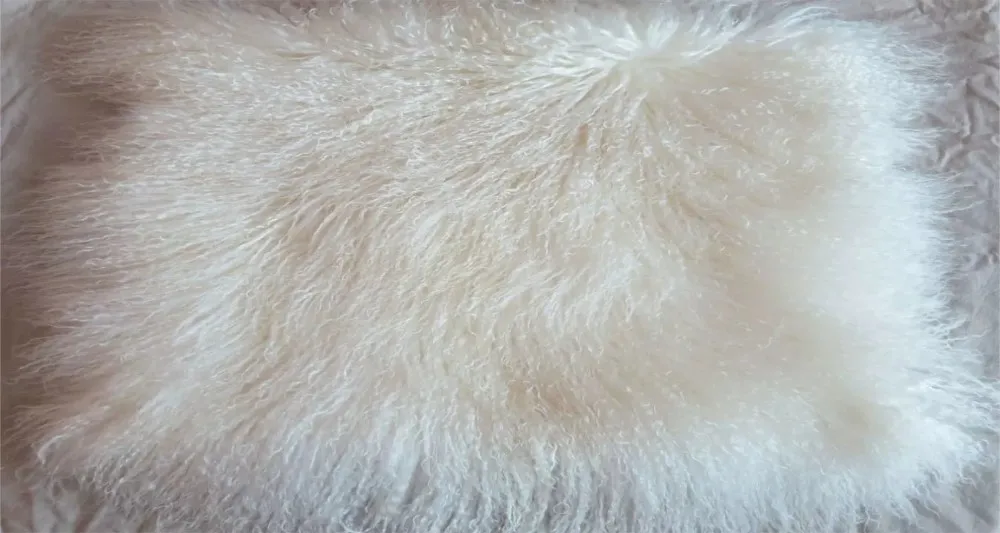 HTB1Frf4LXXXXXbnXVXXq6xXFXXXw