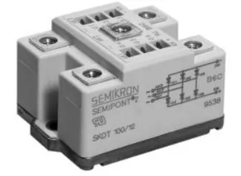 

SKDT100 / 14 SKDT100 / 16 module Spot--ZHMK