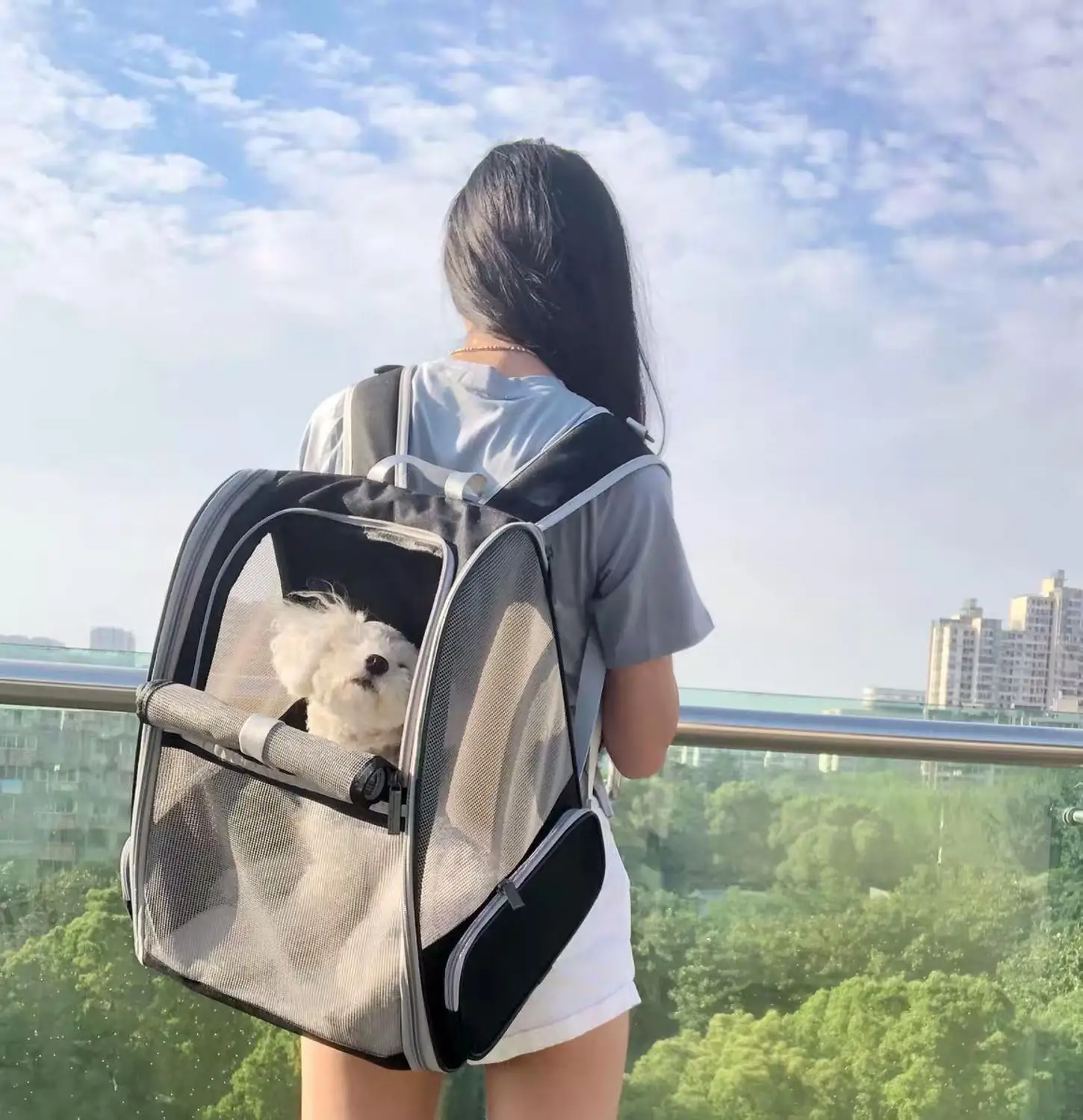 HEYPET рюкзак для кошек, уличная ручная сумка для переноски домашних животных, дышащий складной рюкзак для путешествий, сумка для переноски собак