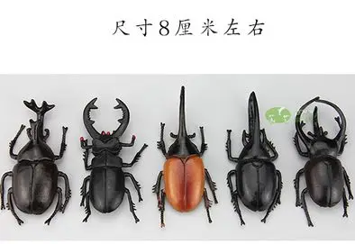 00000000000000000000000000000007 - 副本 - 副本 (1) (1) (1)