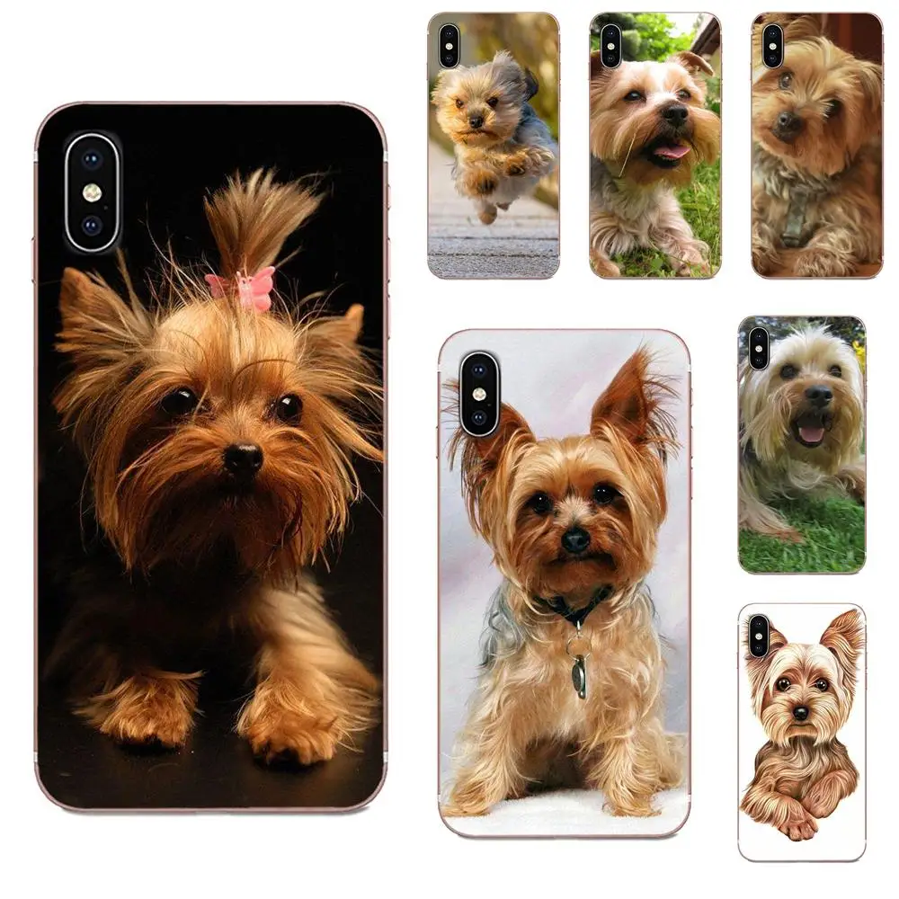 Дизайн щенка йоркширского терьера для Samsung Galaxy A10 A20 A20E A3 A40 A5 A50 A7 J1 J3 J4 J5 J6 J7 2016 2017 2018