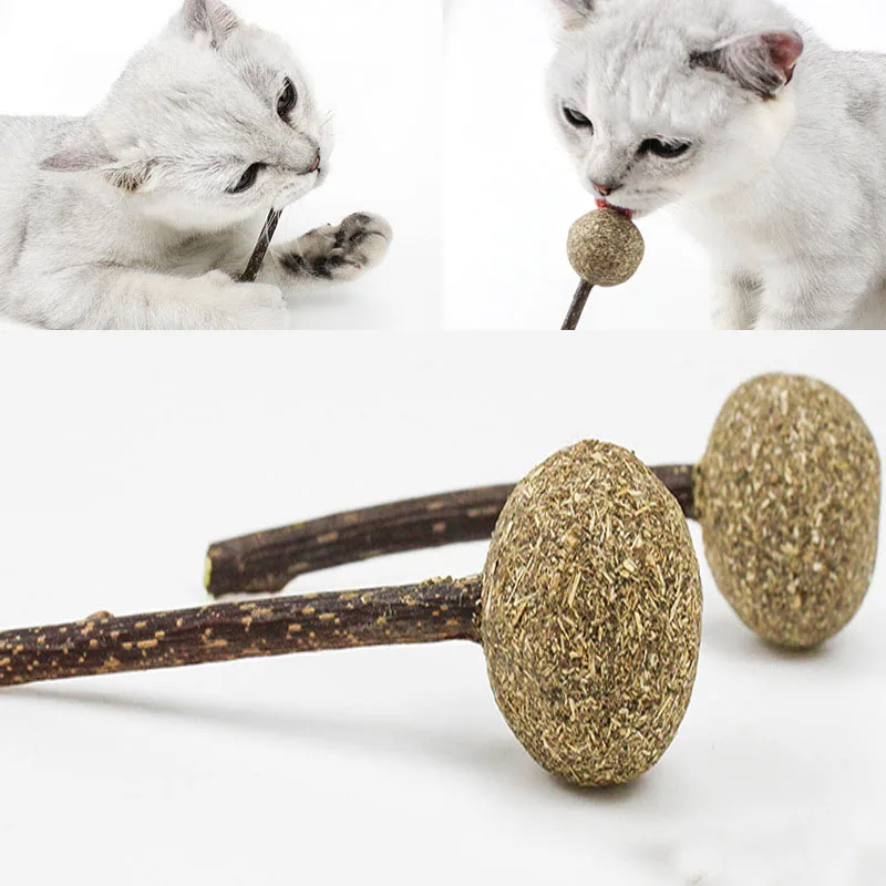 Палочка для кошек с мятой кошки забавная игрушка палочка моляра закуски