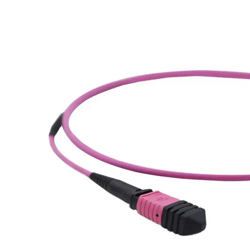 Fiber Patch Cord  (12)