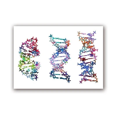Красочная печать молекул DNA биология декор комнаты химия определение научный офисный настенный Арт холст живопись минималистический плакат - Цвет: PH6634