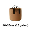 brown 10 gallon