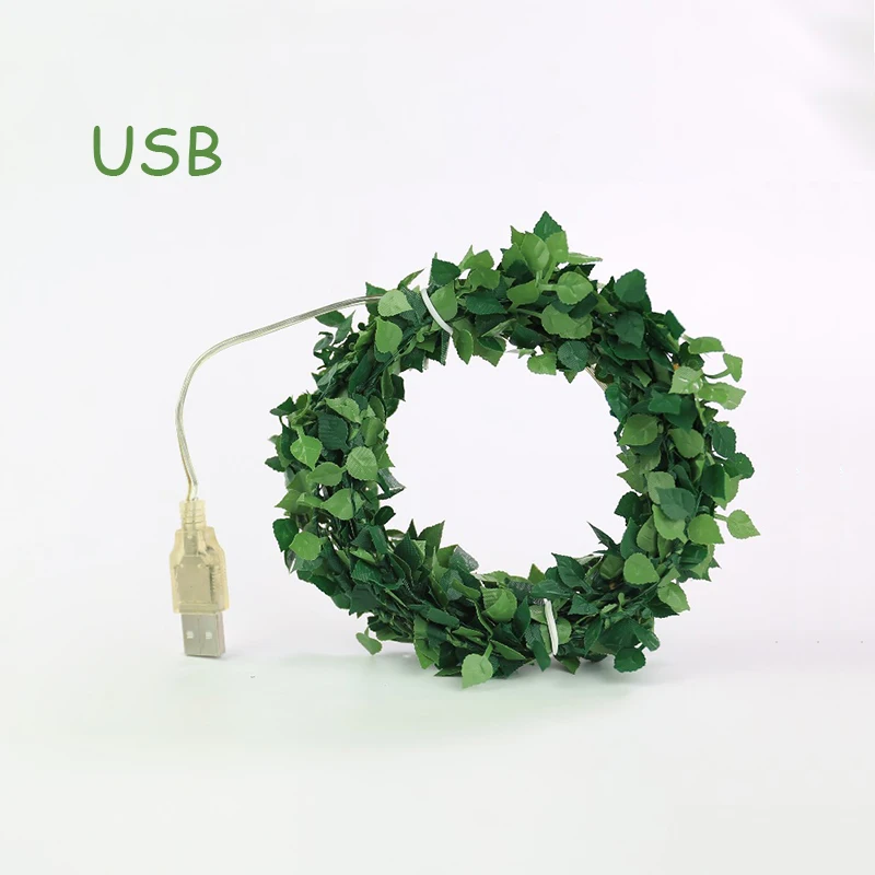 With USB Plug Rantion светодиодный свет строка 2/5/10 м шпагат гирлянда со штекером USB для свадьбы на открытом воздухе для рождественской вечеринки Декорации для торжеств - Испускаемый цвет: With USB Plug
