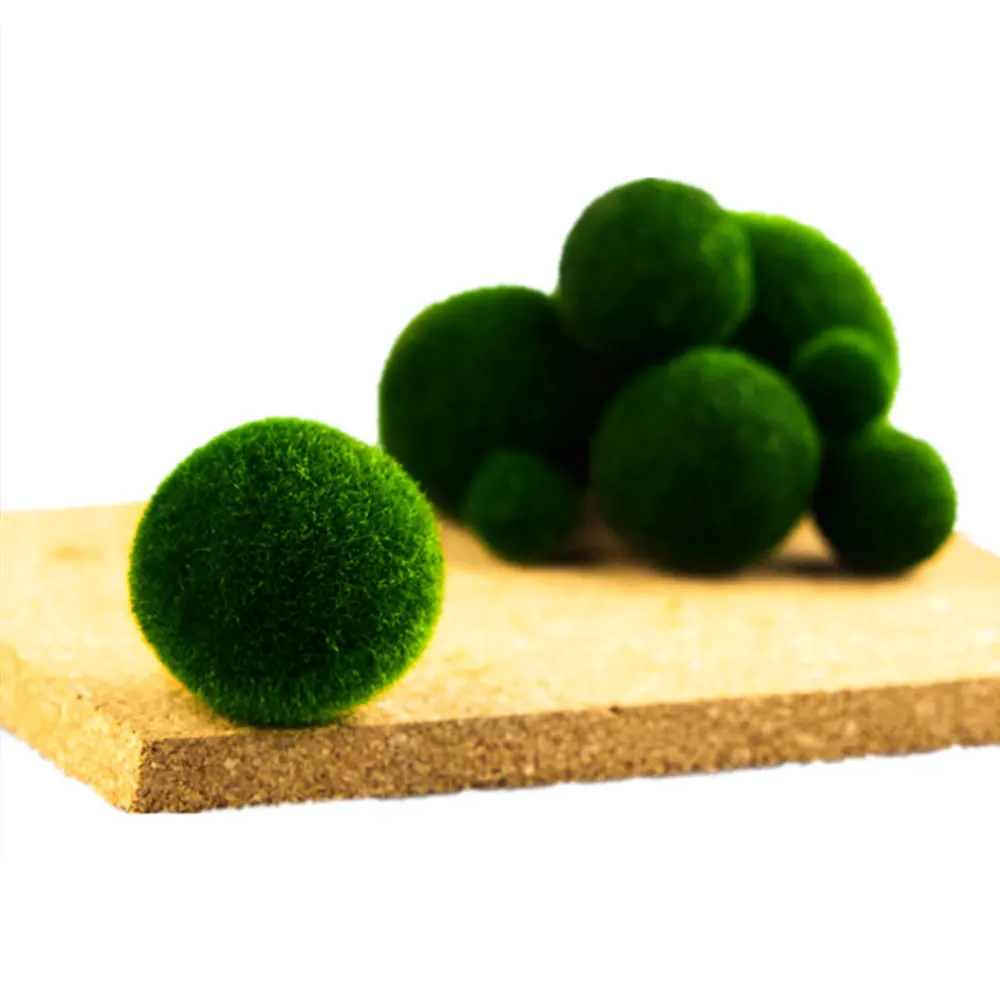 Green Mini Aquarium Plant Fish Tank Shrimp Nano Seaweed Ball For Marimo Moss Balls Fish Tank Ornament Decoration|Decorations| - AliExpress