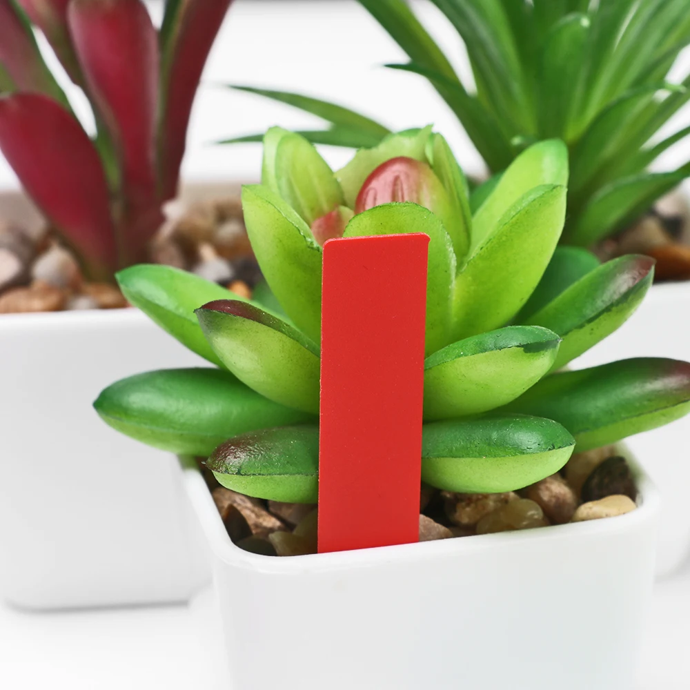 New-100PCS-Greenhouse-Waterproof-Plants-Seedling-Label-Garden-Tools-Classification-Plastic-Tags-Marker-Nursery-Pot-for(1)