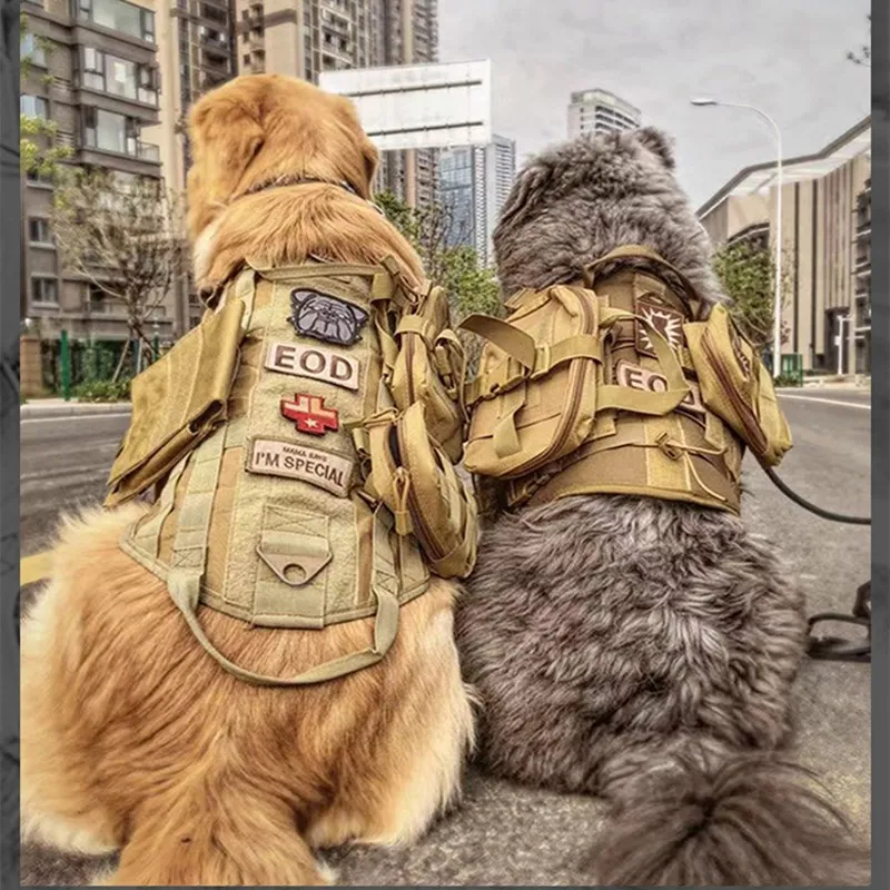 golden retriever tactical vest