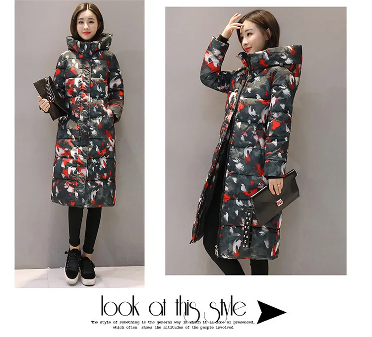 4891400792_1006637240